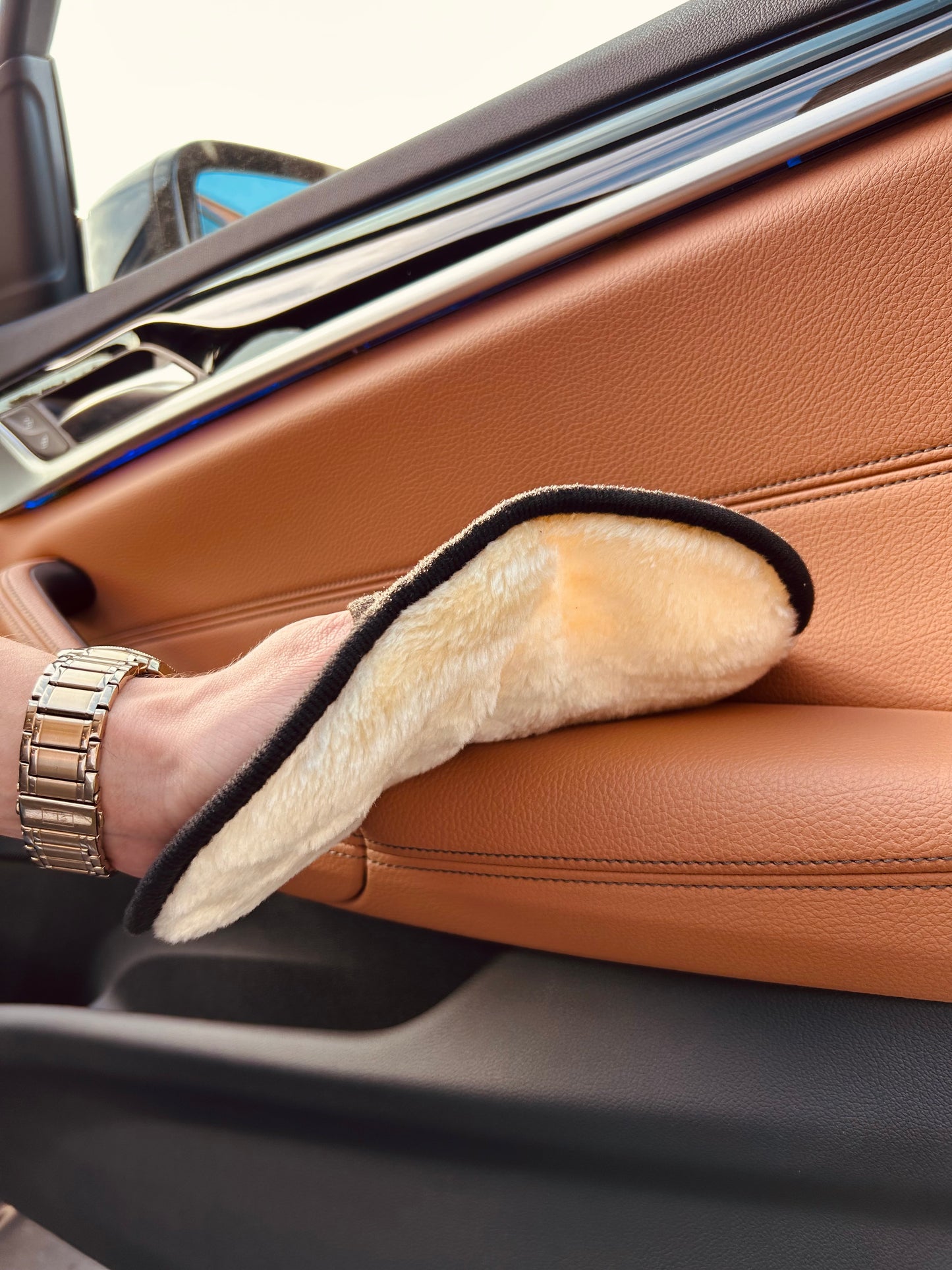 Interior Clean Glove