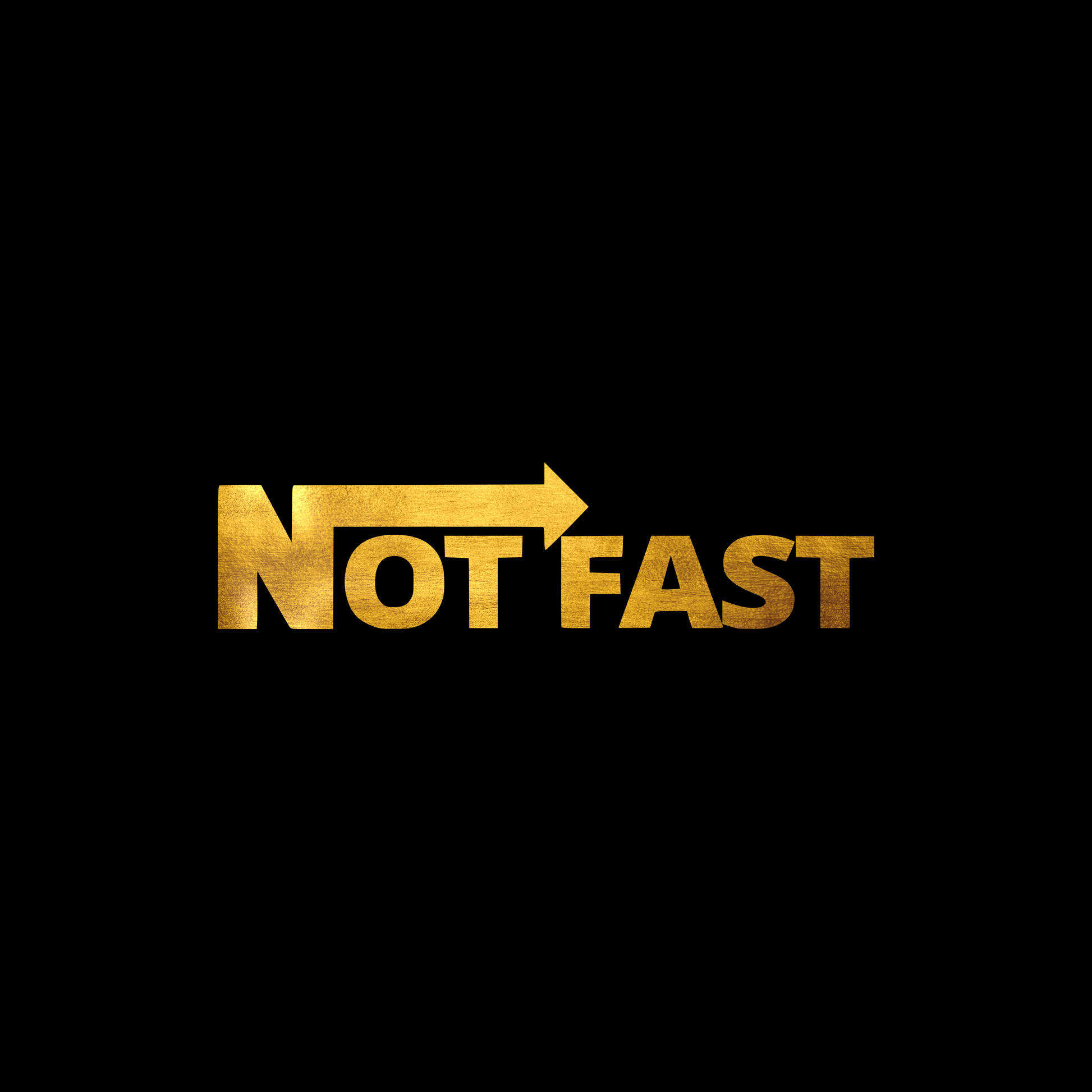 Not fast sticker decal