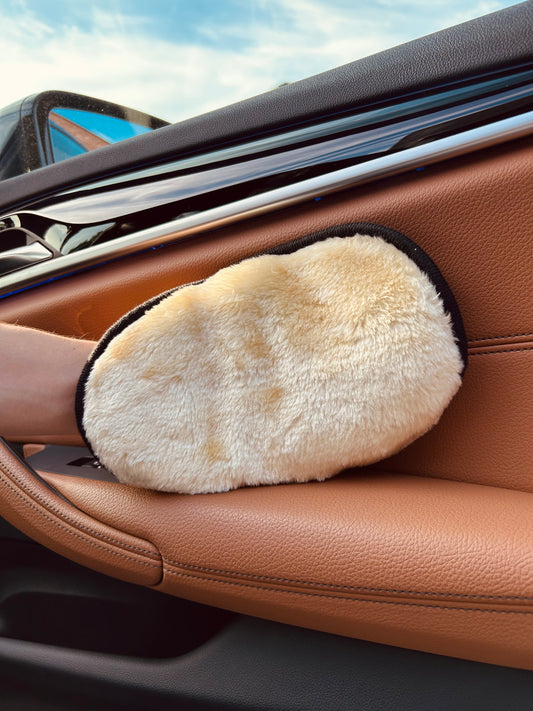 Interior Clean Glove